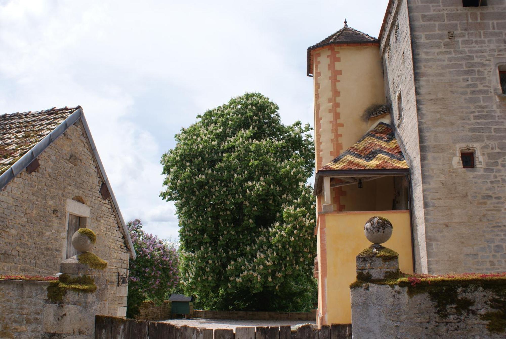 Chateau De Champrenault, Voyagez Dans Le Temps ภายนอก รูปภาพ